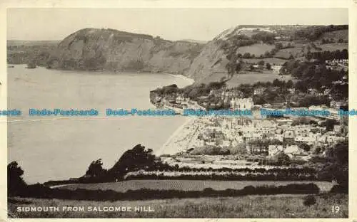 R630928 Sidmouth von Salcombe Hill. 1951