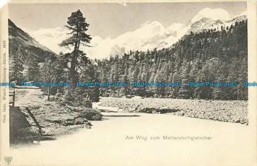 R631210 Am Weg Zum Morteratschgletscher. Dr. Trenkler. Gebr. Wehrli