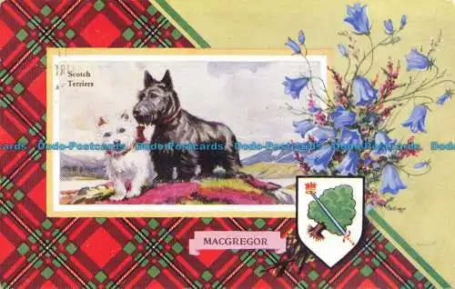 R631965 Scotch Terrier. Valentinstag. Clan Crest Serie. 1959