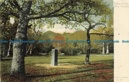 R632021 New Forest. Rufusstein. Postkarte