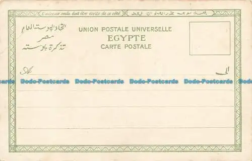 R632103 Ägypten. Palmen. Postkarte