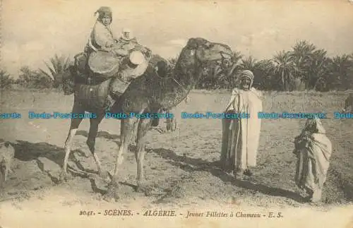 R632861 Algerien. Szenen. Junge Kamelmädchen. E.S. 1948