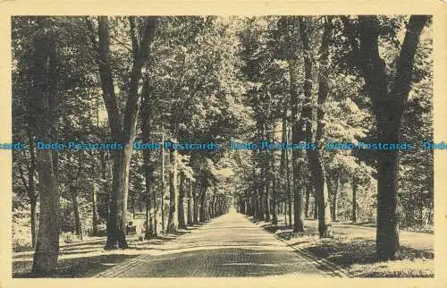 R632867 Spa. Avenue du Marteau. R. Engel