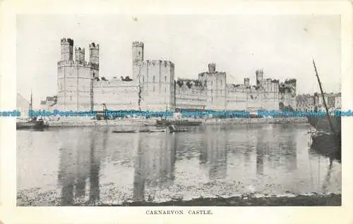 R633375 Schloss Caernarvon. N.S.D. Hampshire County Council