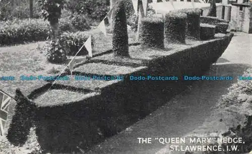 R633037 I.W. Die Queen Mary Hedge. St. Lawrence