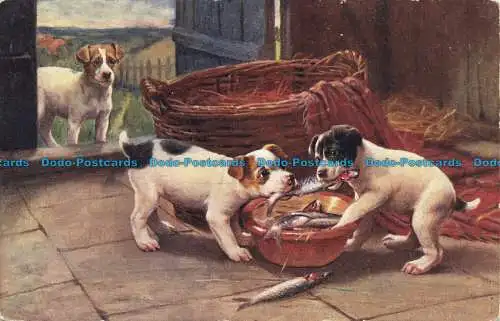 R633657 Hunde essen Fisch. Die beliebte Serie. Nein. 218. 1907