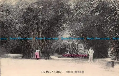 R132022 Rio de Janeiro. Botanischer Garten. B. Hopkins