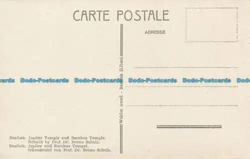 R132118 Baalbek. Jupitertempel und Bacchus-Tempel. Wakim Awad