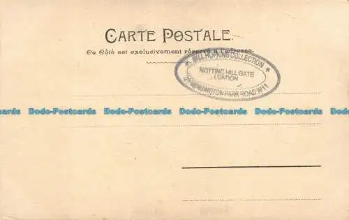 R132183 Alte Postkarte. Frauenporträt. B. Hopkins