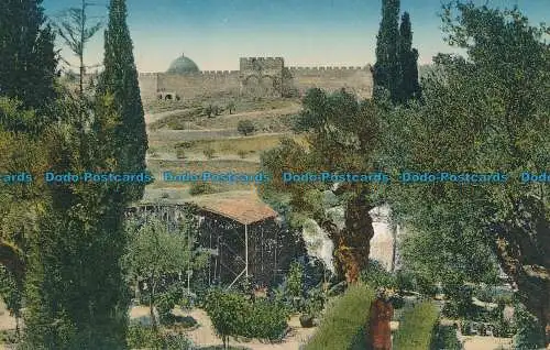 R133174 Jerusalem. Garten Gethsemane