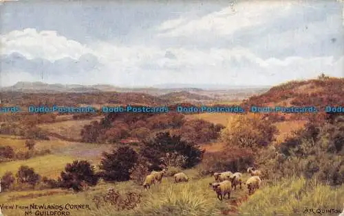 R133256 Blick von der Newlands Corner. Nr. Guildford. Lachs