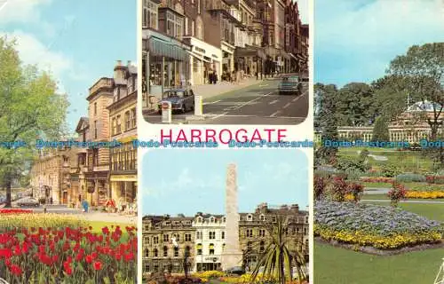 R133314 Harrogate. Multi-View. Dennis