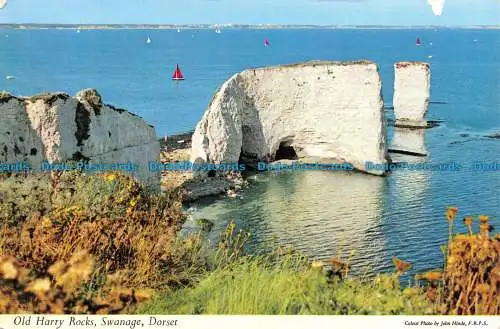 R133411 Alte Harry Rocks. Schwanage. Dorset. John Hinde. 1966