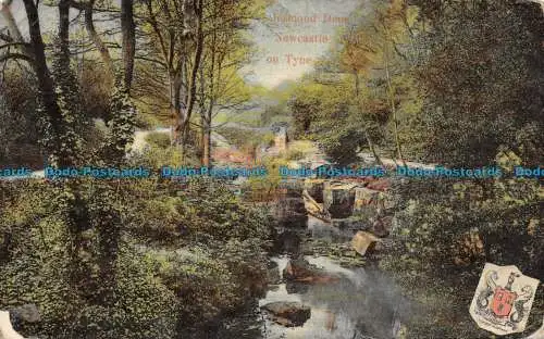 R133999 Jesmond Dene. Newcastle auf Tyne. Milton Glasur. 1909