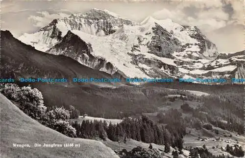 R132892 Wengen. Die Jungfrau