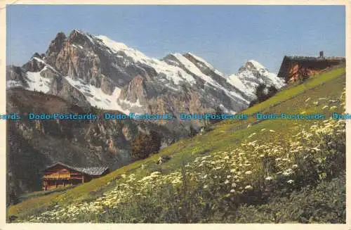 R132896 Murren Gimmelwald. Tschingelgrat Tschingelspitz Gspaltenhorn. Gyger