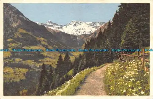 R134161 Nr. A 15536. Adelboden. Hornliweg. Tierhornli. Steghorn. Wildstrubel. E.