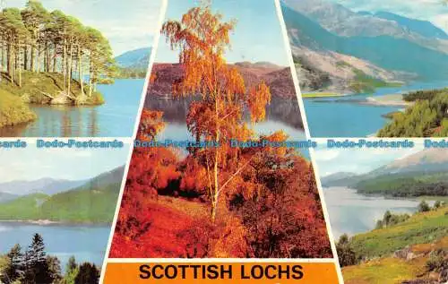 R133027 Scottish Lochs. Multi-View. Fotopräzigkeit. Colourmaster. 1978