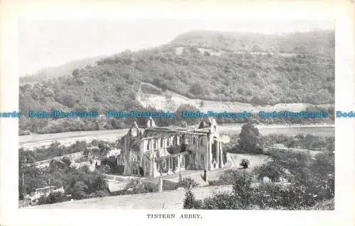 R133748 Tintern Abbey