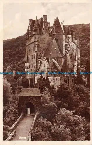 R134465 Burg. Eltz. Stengel