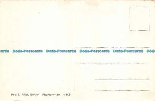 R134937 Rodberg Ved Laerdal. Paul E. Ritter. Nein. 505