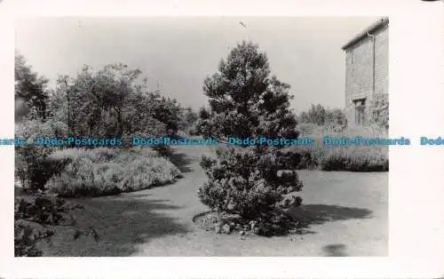 R134474 Garten. Unbekannter Ort. Alte Fotografie. Postkarte