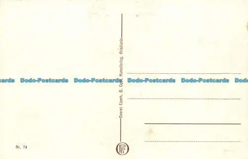 R134997 Trondhjem. Fjeldsaeter Sanatorium. Nein. 74. Eneret Eberh. B. Oppi