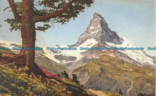 R135133 Nr. 1011. Riffelalp. Matterhorn. Stehli