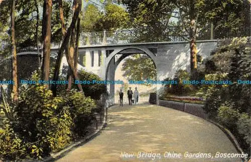 R136301 Neue Brücke. China Gardens. Buckelwale