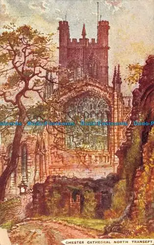 R135169 Chester Cathedral Nordquerschiff. Die Cestrian-Serie. Hukes Bibliothek