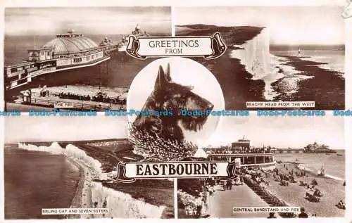 R137094 Grüße aus Eastbourne. RP. 1949. Multi View