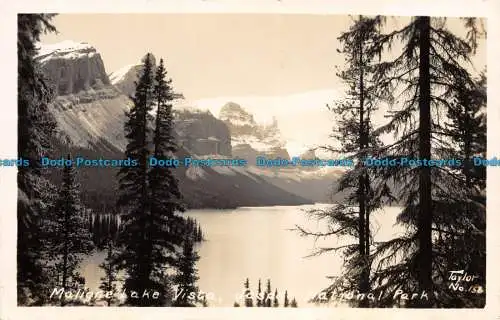 R136417 Maligne Lake Vista. Jasper Nationalpark. G. Morris Taylor