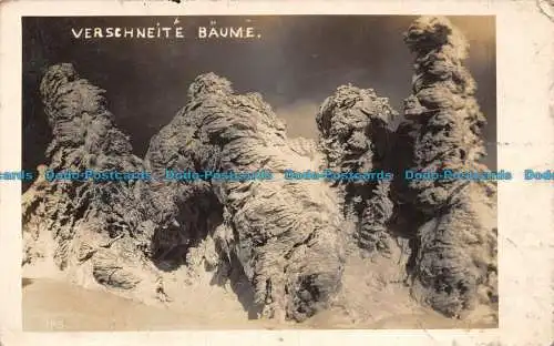 R135264 Verschneite Baume. W. Pfohl