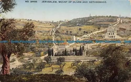 R137134 Nr. 24498. Jerusalem. Olivenberg und Gethsemane. Photochrom