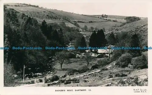 R137249 Dachse Holt. Dartmeet. R.A.P. RP. 1938