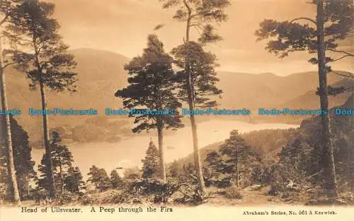 R137313 Kopf von Ullswater. Ein Blick durch die Tannen. Abrahams Serie. Nein. 561 A