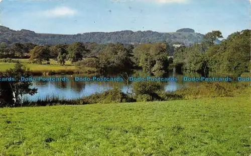 R137348 Chanctonbury Ring aus Wiston Lake. Wardells. 1967