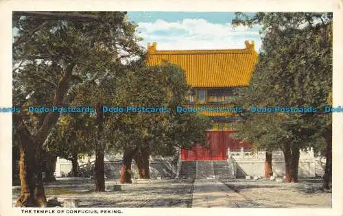 R137003 Der Tempel des Konfuzius. Peking. Kamerahandwerk