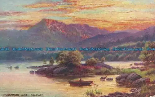 R137758 Muckross Lake. Killarney. Tuck. Öle. Nr. 7260. 1906