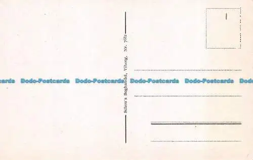 R137943 Viborg. Domkirken med gl. Raadhus. Schous Boghandel. Nein. 7682