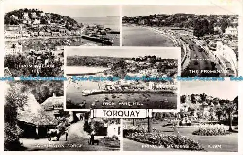 R137962 Torquay. Valentinstag. RP. Multi View