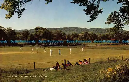 R138181 Leith Hill von Ockley Green. Lachs. Kamerafarbe