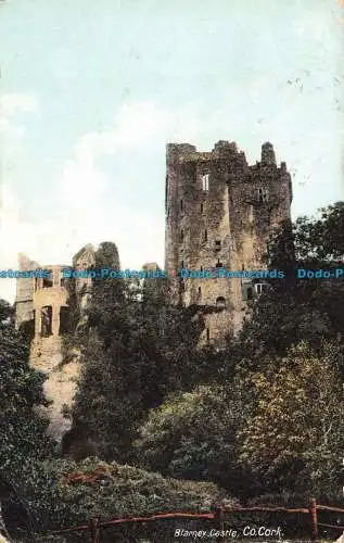 R138313 Blarney Castle. Co. Kork. Lawrence. Nein. 8242. 1912