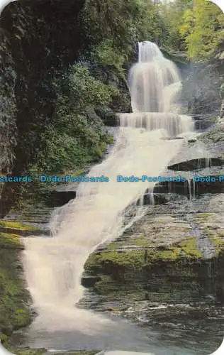 R138427 Dingmans Falls. In den malerischen Pocono-Bergen. Kardmasters. Dexter Pres