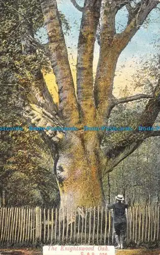 R139054 Die Knightswood-Eiche. C. und S