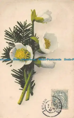 R139187 Blumen. Martin Rommel. Grußkarte. 1907. 1904