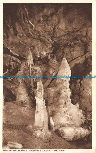 R139207 Salomonen Tempel. Goughs Caves. Cheddar. William Gough