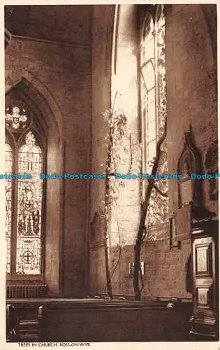 R140164 Bäume in der Kirche. Ross on Wye. 1946