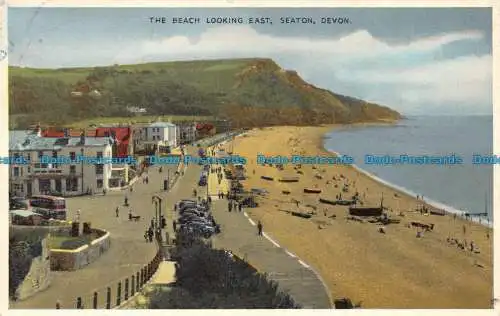 R139867 Der Strand mit Blick nach Osten. Sitzplatz. Devon. Dennis