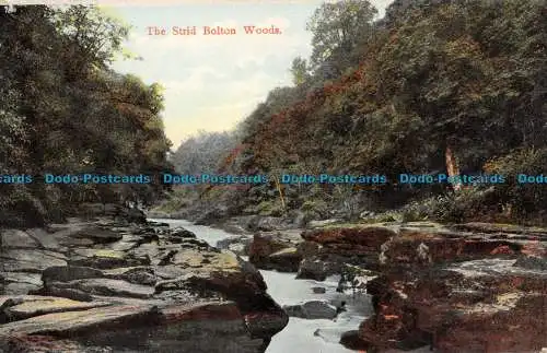 R140834 The Strid Bolton Woods. Kromo Serie Nr. 23041. B. und D